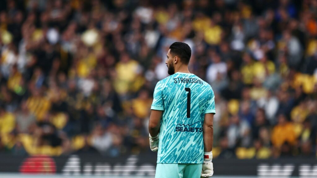 Στρακόσα: «Δύσκολο το ματς με τον ΠΑΟΚ»_68f4b644b2c05.jpeg