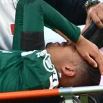 Μεγάλο πλήγμα στον Παναθηναϊκό με Ουναϊ_6ae0a18a38ce0.jpeg